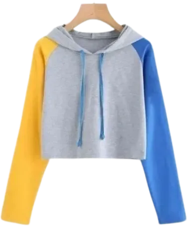 Crop Top Hoodie